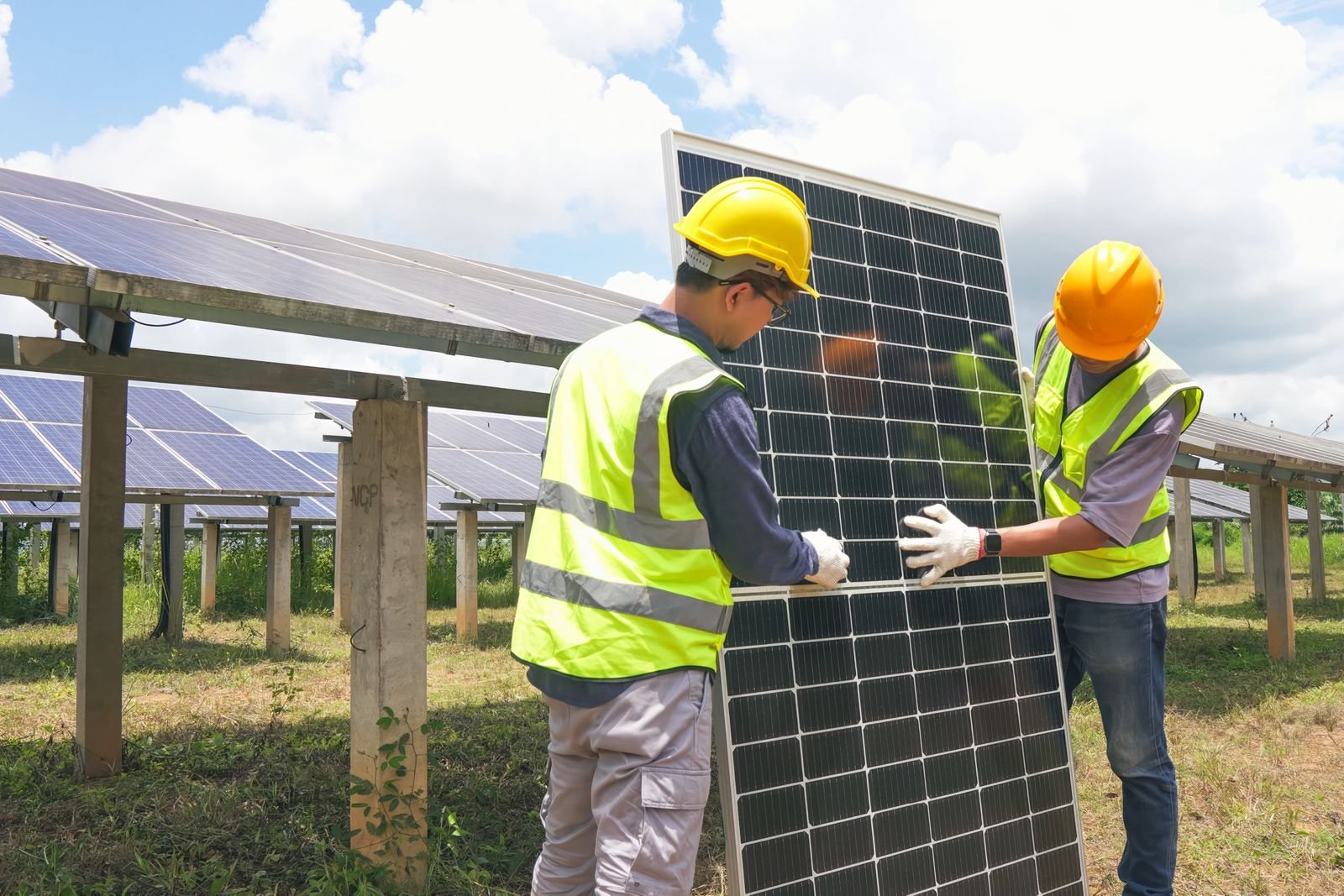 WhatsApp Image 2025-03-23 at 16.45.37